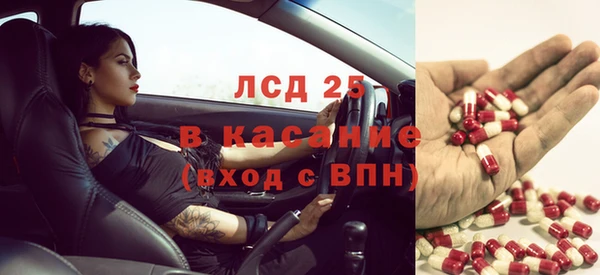 индика Костерёво