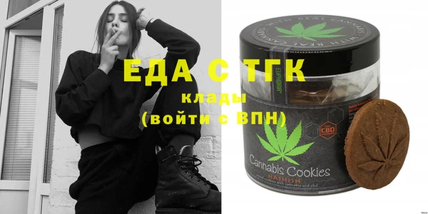индика Костерёво