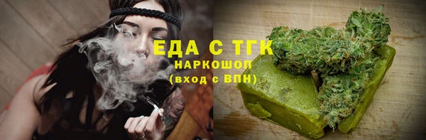индика Костерёво