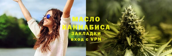индика Костерёво