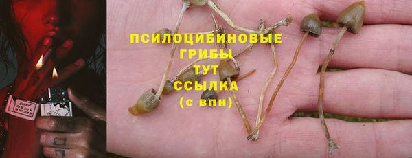 прущий лед Корсаков