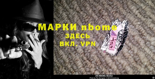 индика Костерёво