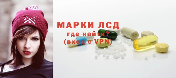 индика Костерёво
