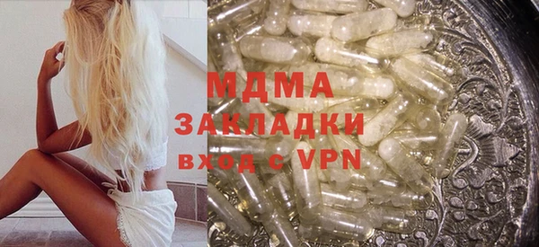 индика Костерёво