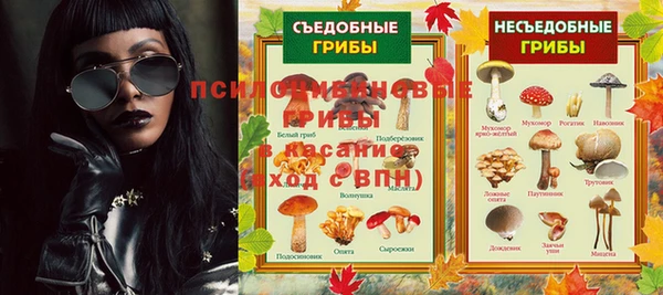 индика Костерёво