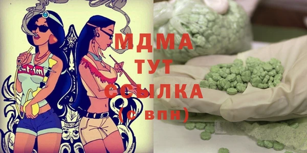 индика Костерёво