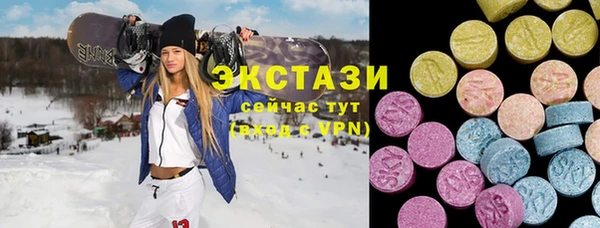 индика Костерёво