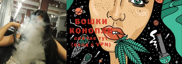 индика Костерёво