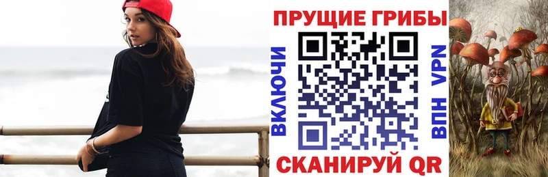 Псилоцибиновые грибы ЛСД  закладка  Новоалтайск 
