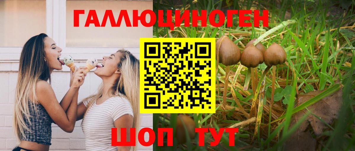 Псилоцибиновые грибы Psilocybe  Вход с VPN  Новоалтайск 